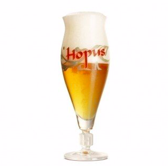 Picture of 1x33cl Glas Hopus + 1 Gistglas