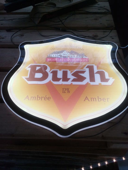 Picture of Bush
