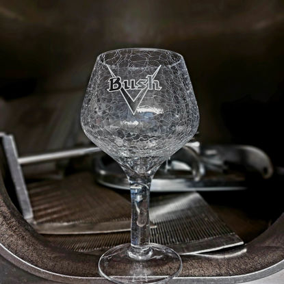 Afbeeldingen van 1x33cl Glas Bush