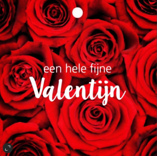 Afbeeldingen van Menu Valentijn CHOCOLADEFONTEIN